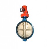 Van bướm CLWM - Series (CLWM BUTTERFLY VALVE)