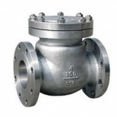 VAN MỘT CHIỀU LÁ LẬT INOX ( 1 WAY INOX VALVE)